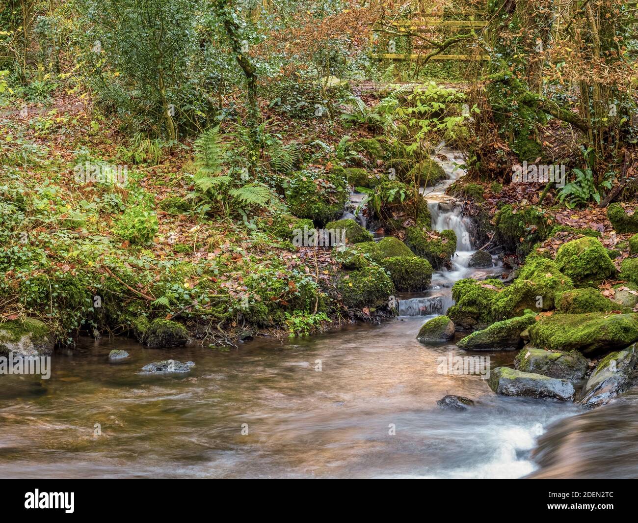 East Okement River tributary, Fatherford, Devon. Autumn. Stock Photo