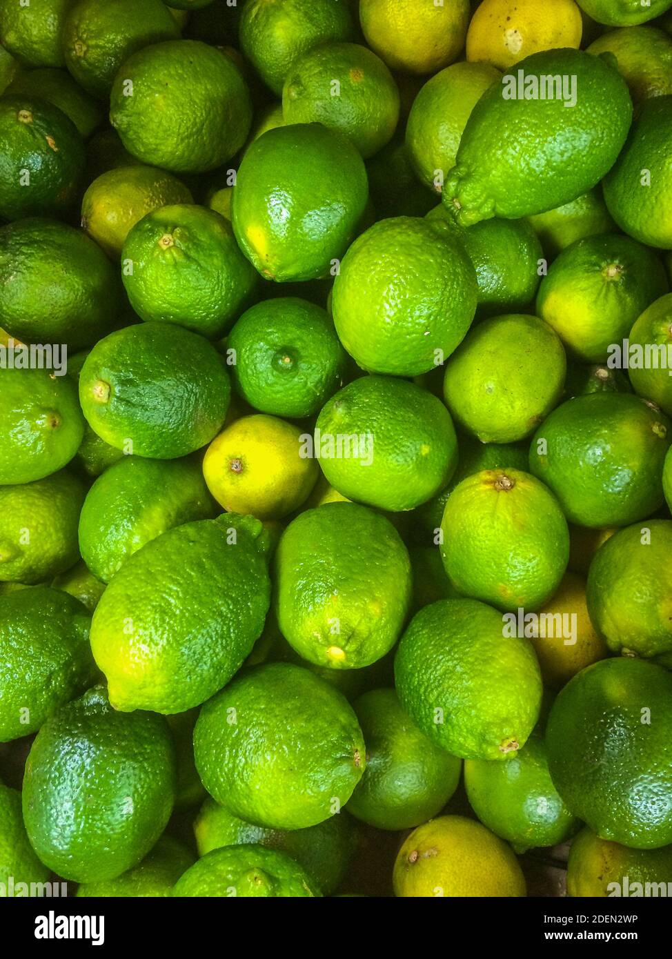 Close up of a pile of limes Stock Photo