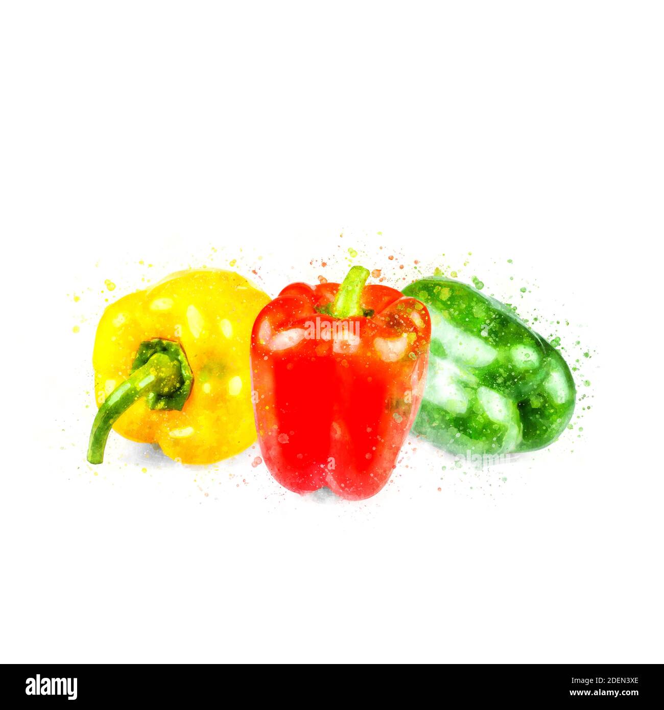 Red, green and yellow peppers as an illustration watercolor Stock Photo