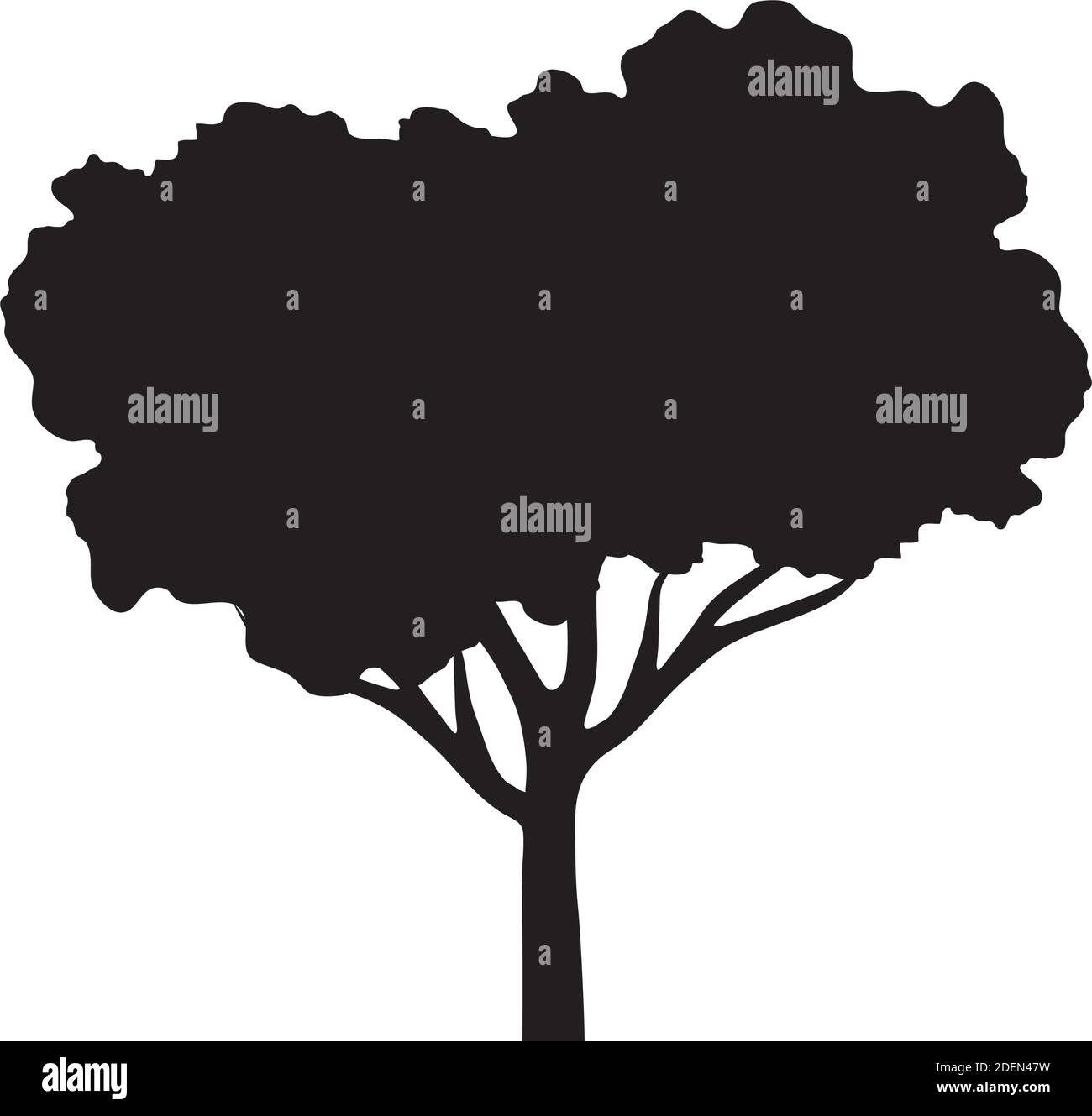 leaved tree plant silhouette style Stock Vector Image & Art - Alamy
