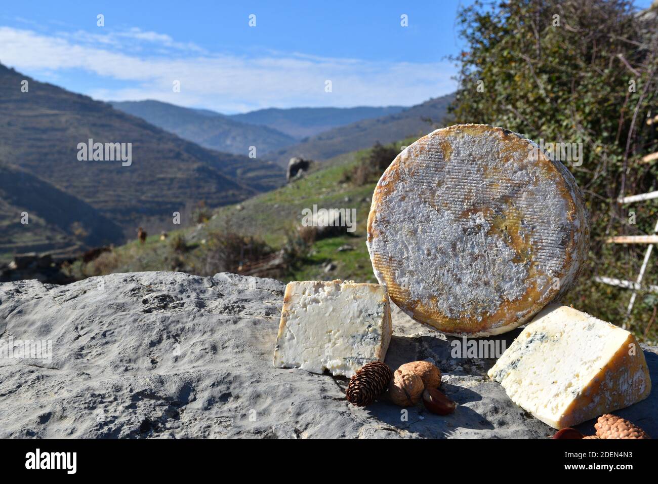 Whole cheese and pieces on stone and defocused background of mountainous landscape in sunny day. Stock Photo