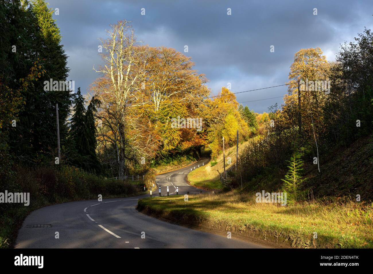 Asphalt, Autumn, Autumn Leaf Color, Bush, Curve, Dartmoor, Day, Devon,  Dividing Line - Road Marking, Driveway, Driving, Empty, England, Footpath,  Fore Stock Photo - Alamy