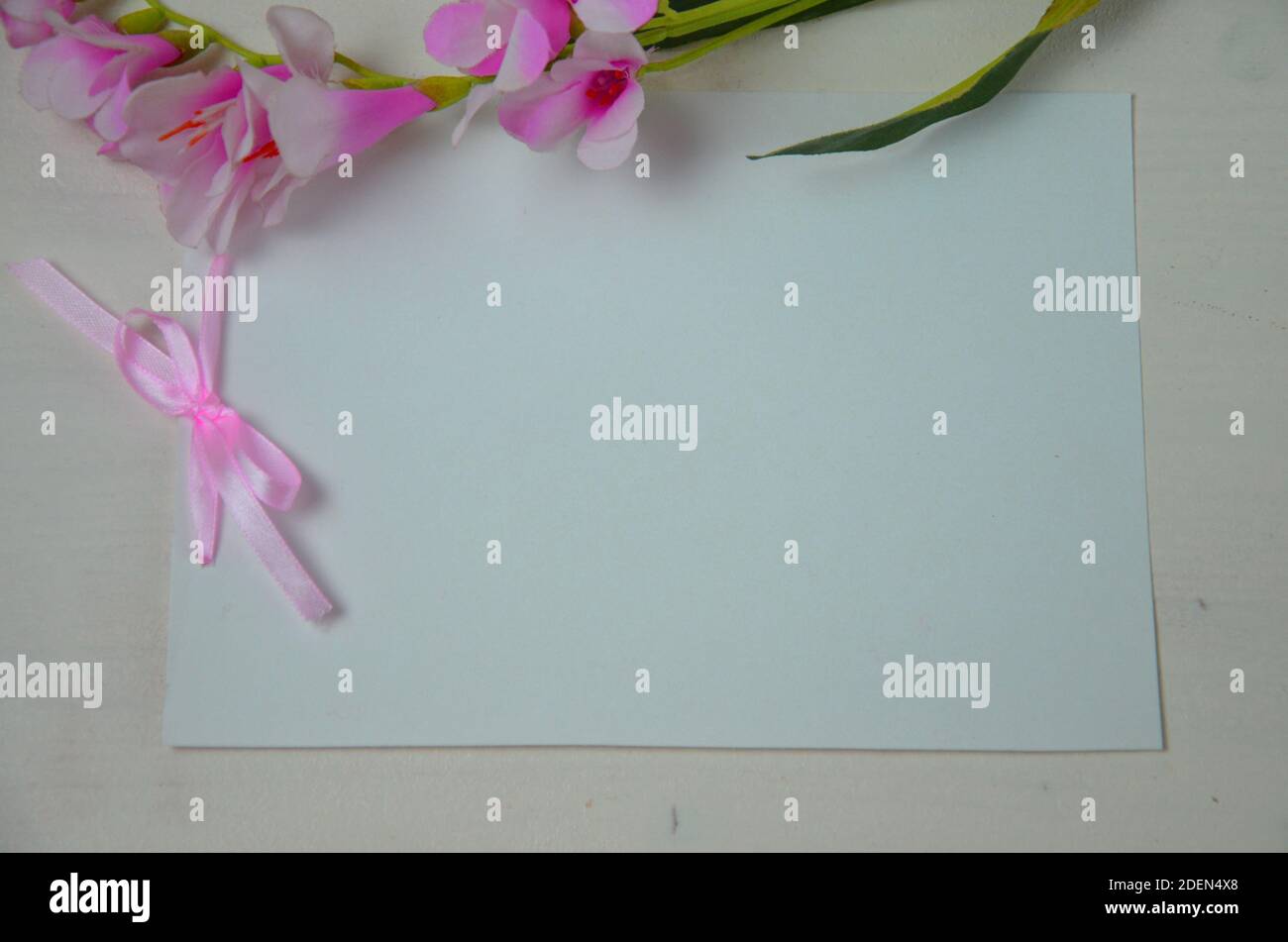 Spring flowers. Pink flowers on white wooden background. Flat lay, top view. Blank white greeting card paper, empty sheet of paper and pink ribbon Stock Photo