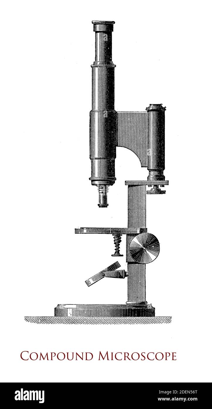 Compound microscope, invented in 17th century, presents several lenses with different magnification mounted on a turret providing the ability of zoom-in an object displaced on a specific support. Stock Photo