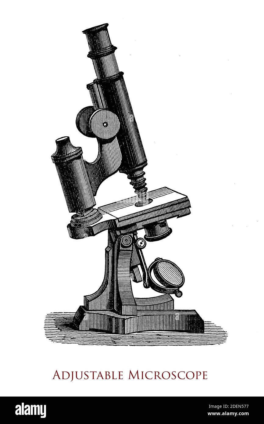 19th century compound microscope, adjustable by a screw needle attached