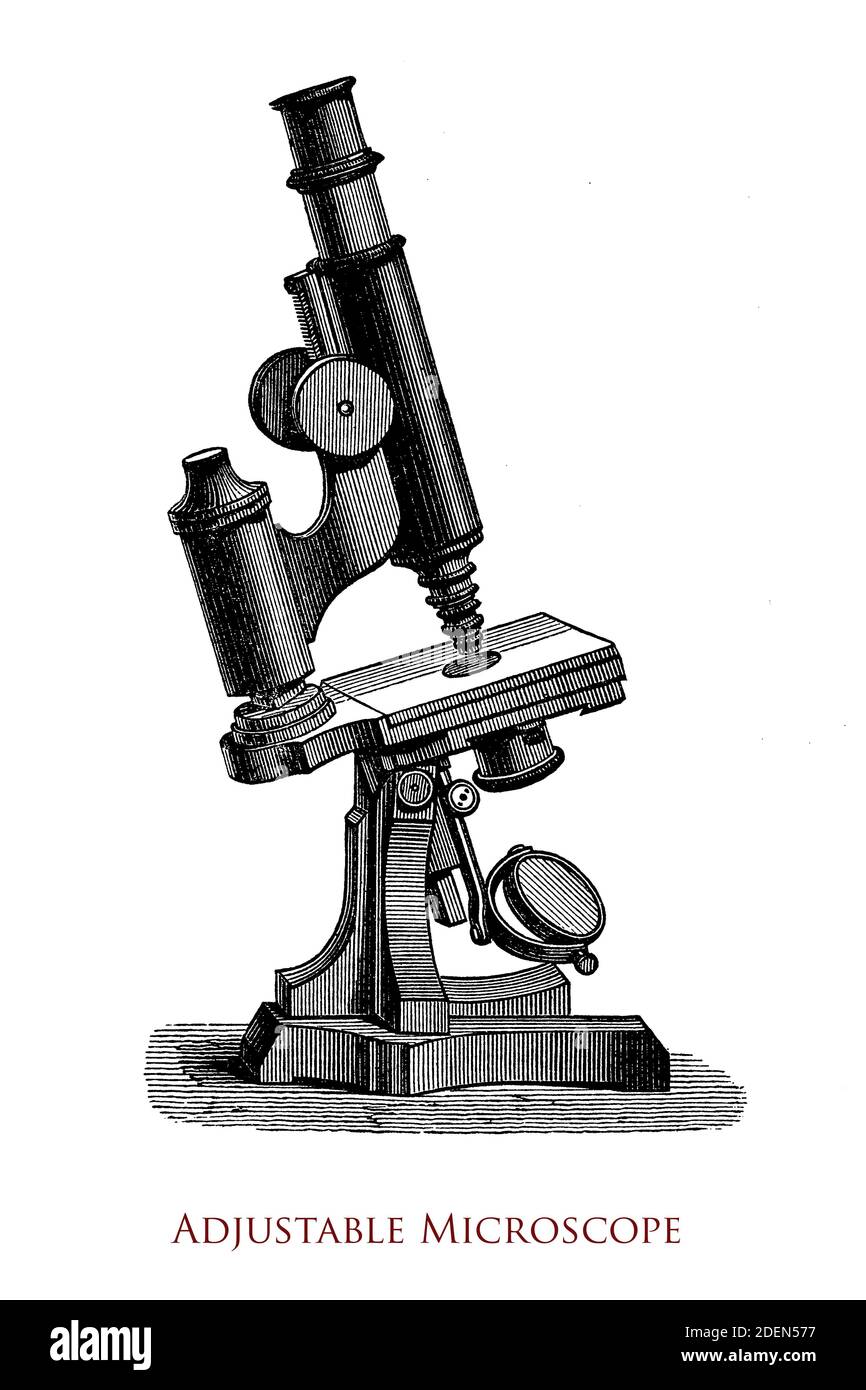 19th century compound microscope, adjustable by a screw needle attached to the specimen mount Stock Photo