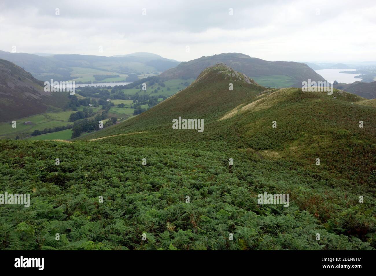 Looking over Winter Crag to the Wainwright 'Hallin Hill' from the Summit Ridge of 'Beda Fell' in the Lake District National Park, Cumbria, England,UK. Stock Photo