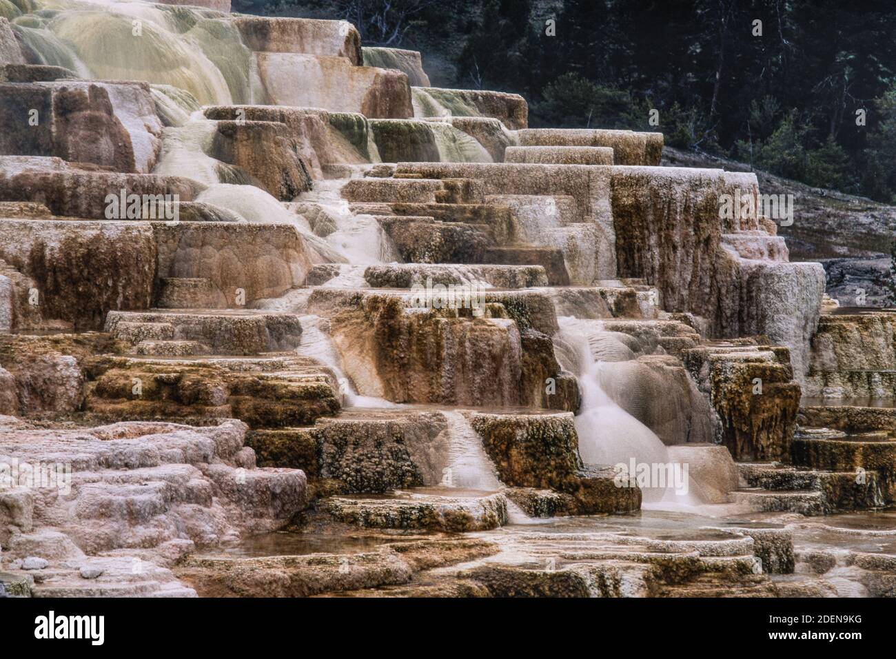 Colorful mineral formations of Palette Spring in the Mammoth Hot Springs in Yellowstone National Park in Wyoming, USA. Stock Photo