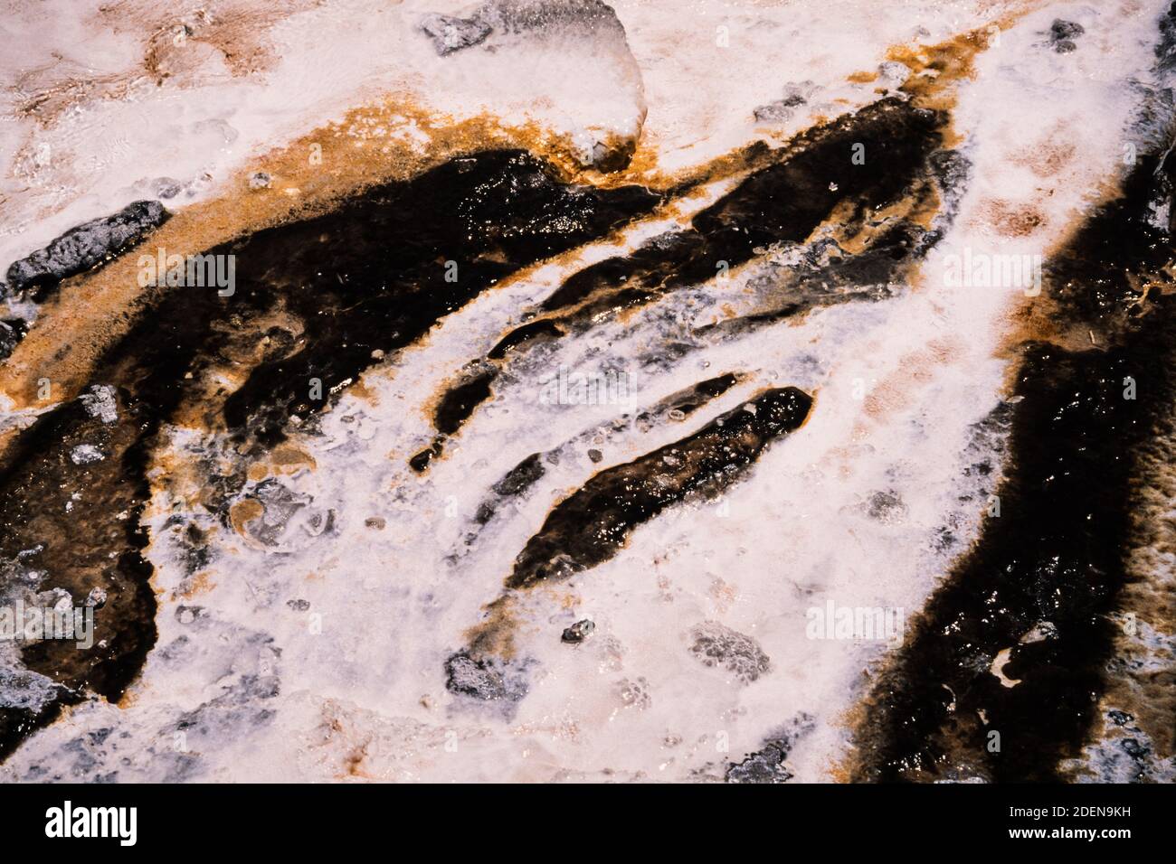 Colorful microbial mats made by thermophilic microbes in runoff water of a thermal feature in Yellowstone National Park in Wyoming, USA. Stock Photo