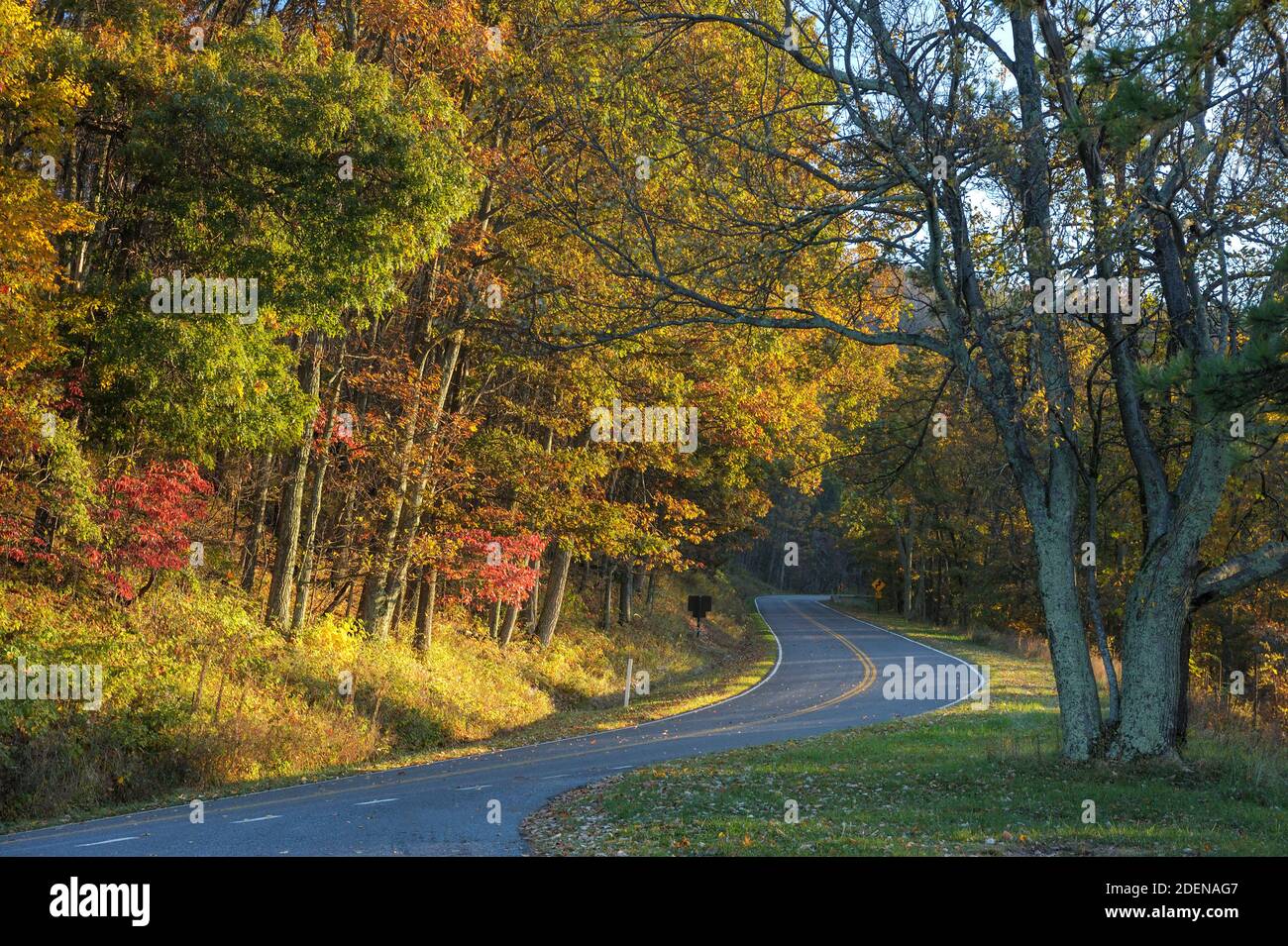 North America, American, USA, East Coast, Appalachian Mountains