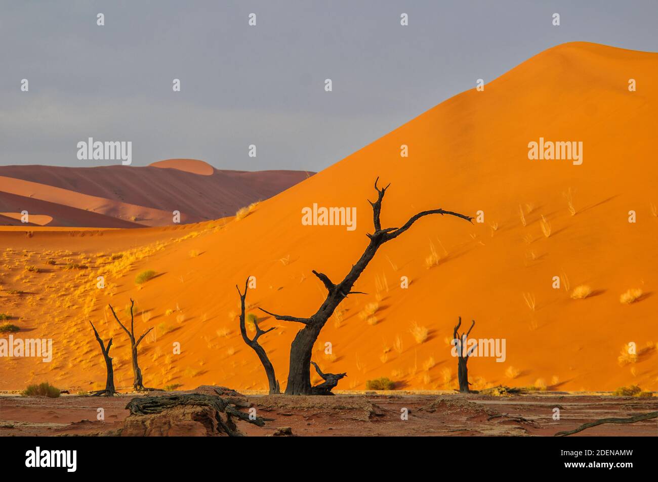 Africa, Southern, African, Namibia,  Namib-Naukluft National Park, Hardap Region, Sossusvlei Stock Photo