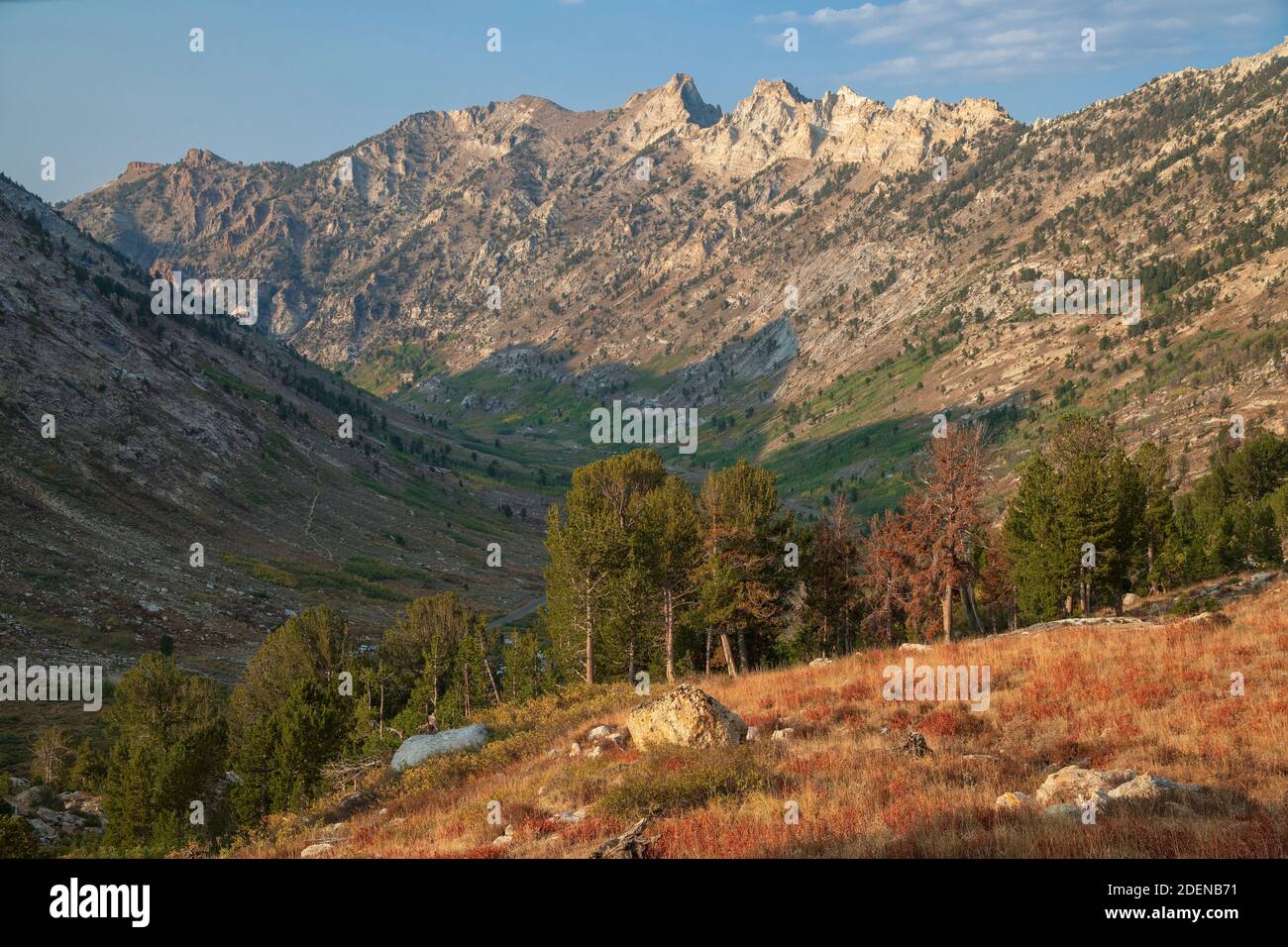 USA, Great Basin, Nevada, Elko County, Ruby Mountains, Lamoille Canyon, Stock Photo