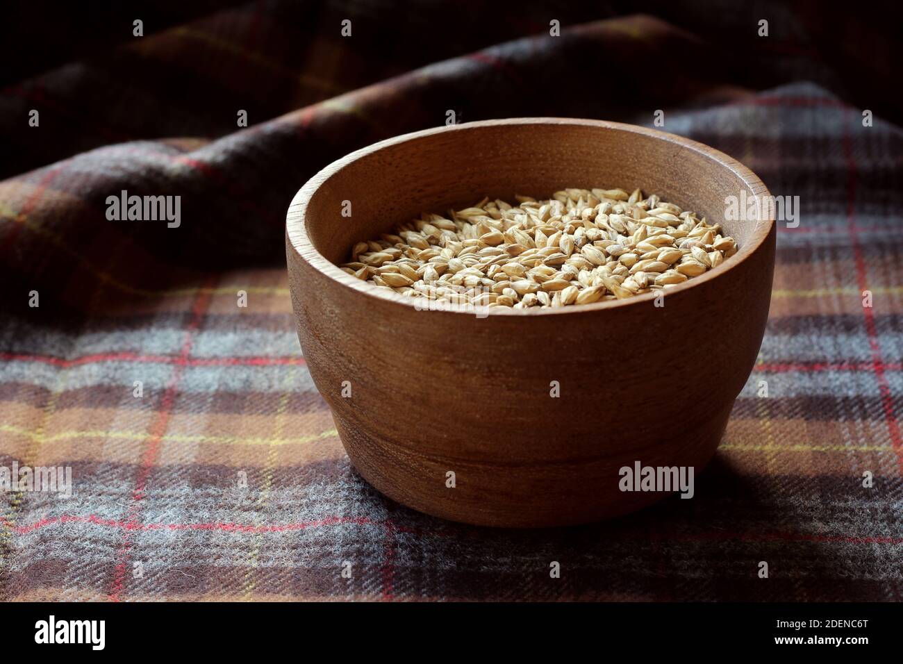 Side on view of a wooden bowl full of malted barley grains, on a tartan table cloth. One of the main ingredients in beer brewing and scotch whisky mak Stock Photo