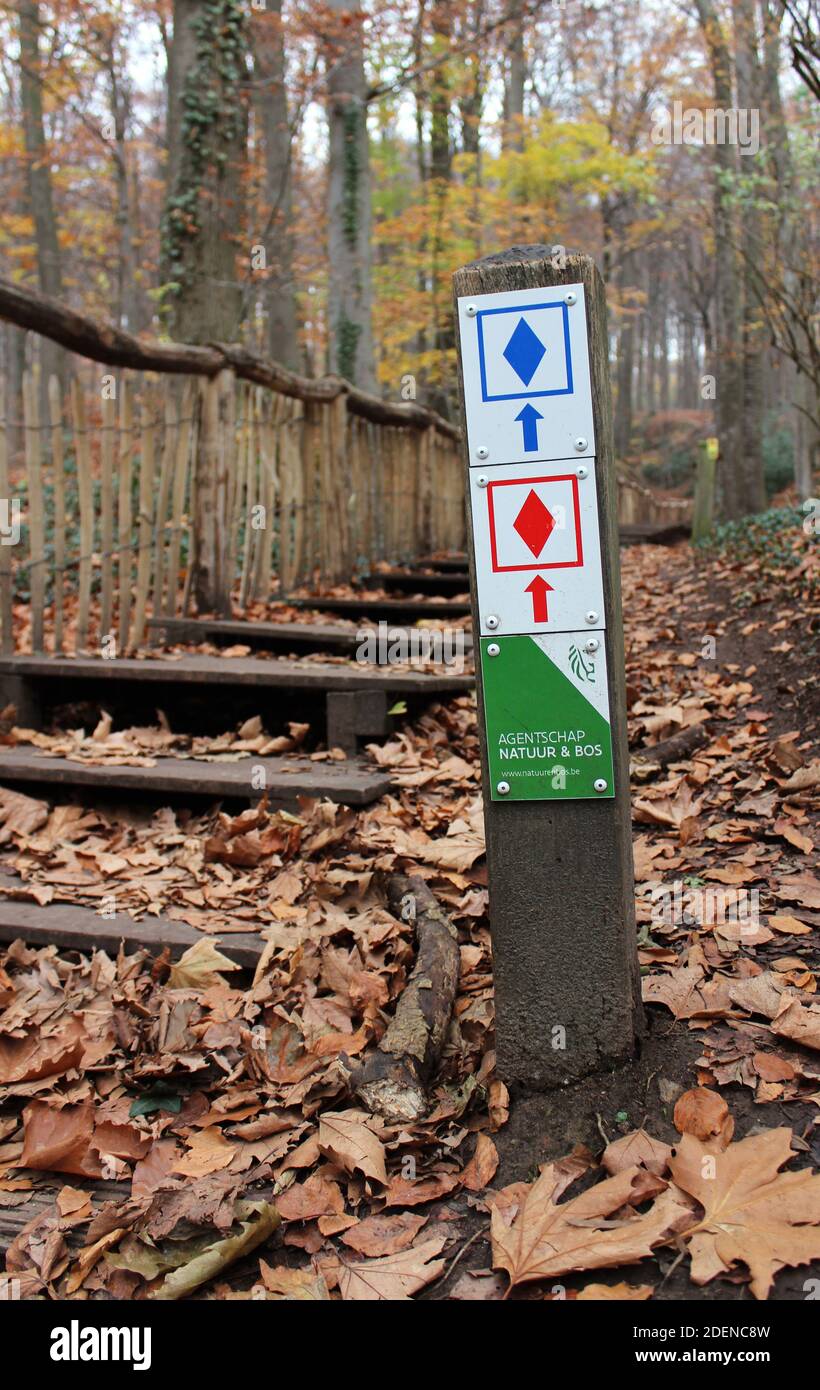 NINOVE, BELGIUM, 29 NOVEMBER 2020: Walking waymarker sign post in 'Neigem bos' near Ninove. The protected forest and nature area is a popular recreati Stock Photo