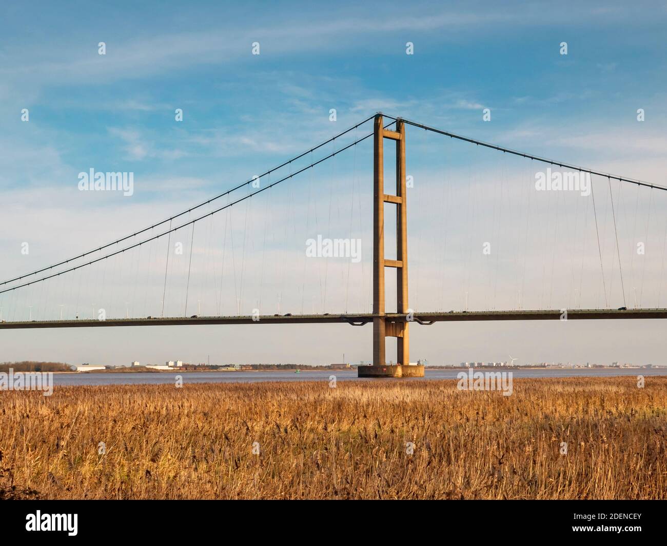 A tower and section of the Humber Bridge seen across a reed bed in North Lincolnshire, England Stock Photo