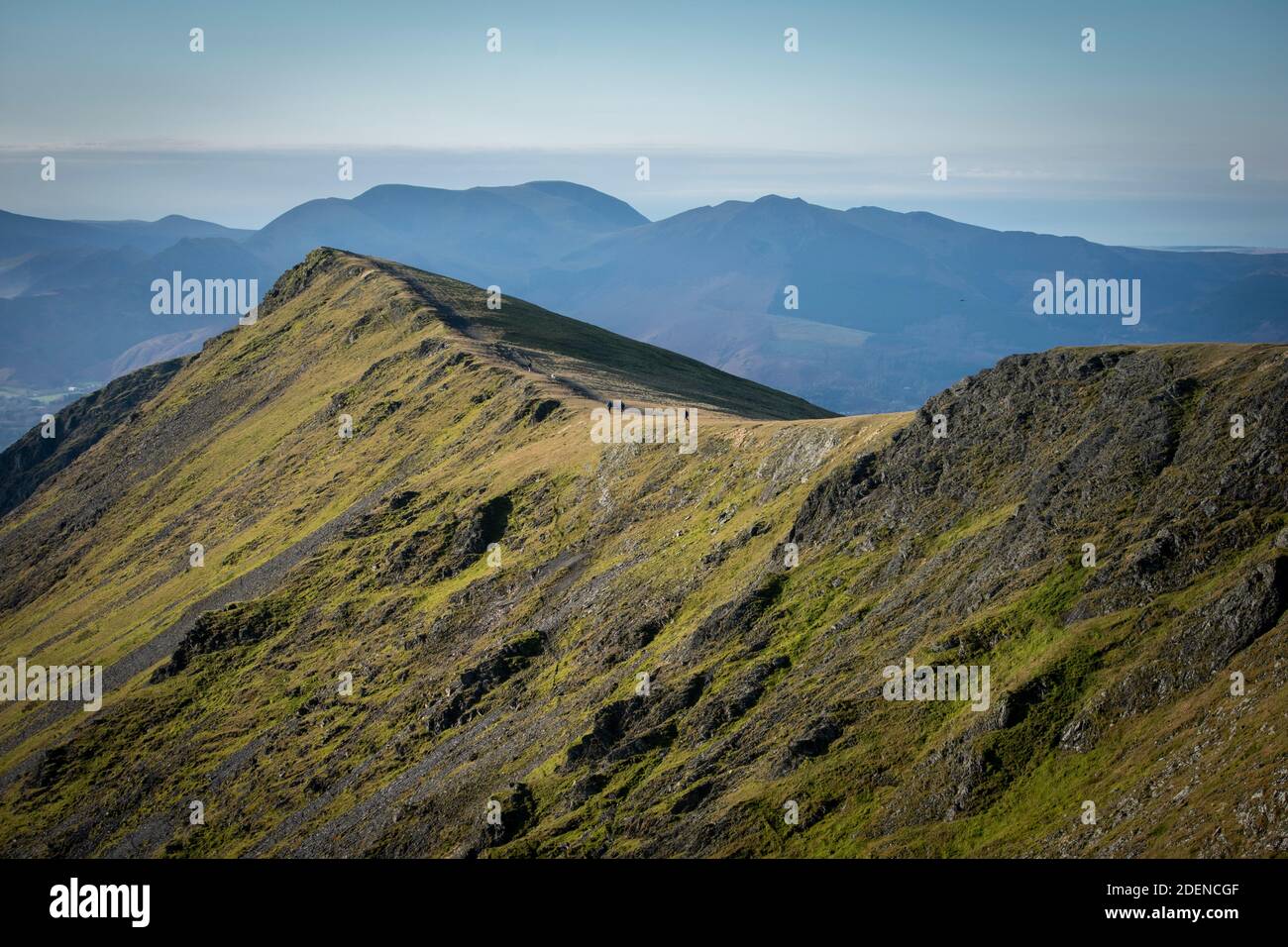 Looking along the summit ridge of Blencathra in the English Lake District Stock Photo