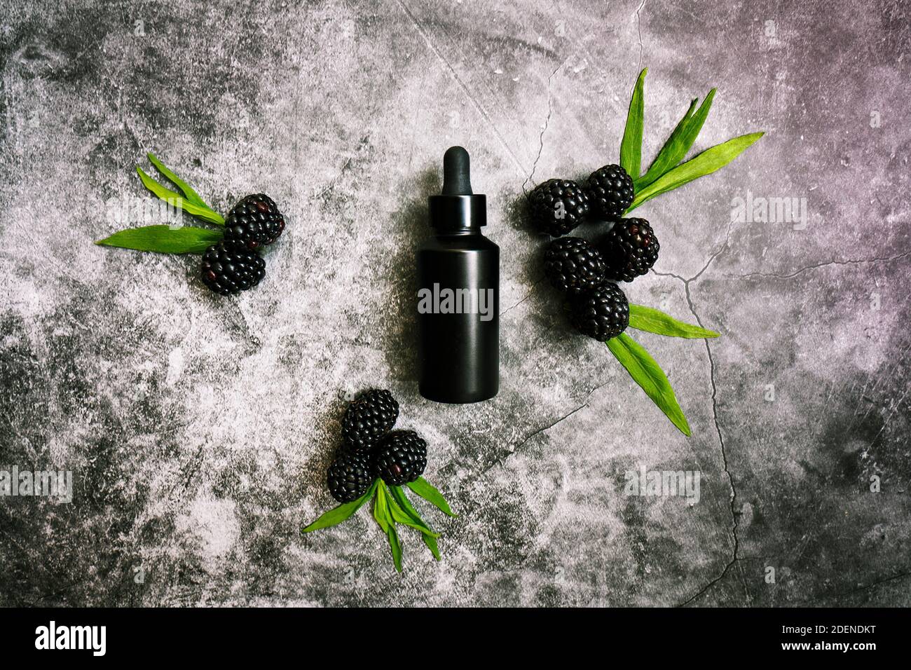 Black bottle of men's facial anti-aging serum on a dark grunge cement background surrounded by blackberries rich in antioxidants. Stock Photo