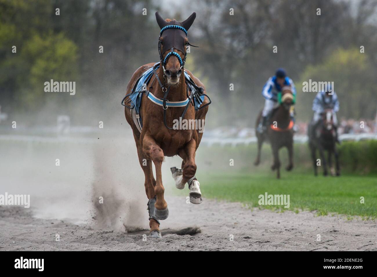 Jockey horse funny hires stock photography and images Alamy