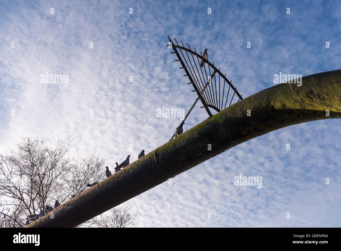 Pigeons resting on a high pressure gas pipeline crossing the Titford Canal in Oldbury, Sandwell, West Midlands Stock Photo