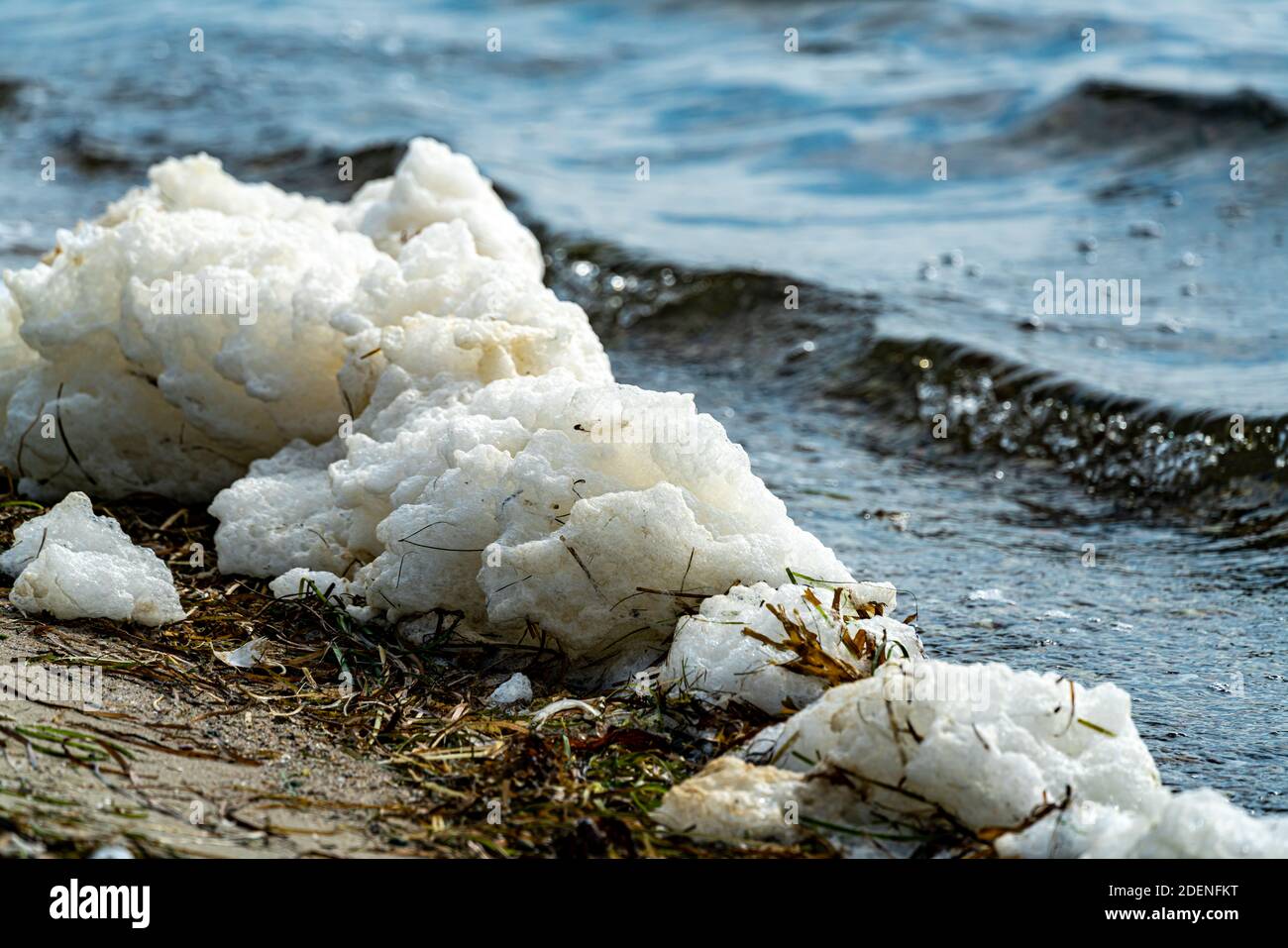 Sea foam forming on the beach, strong sticky spume substance made from  organic matter in seawater. . High quality photo Stock Photo - Alamy