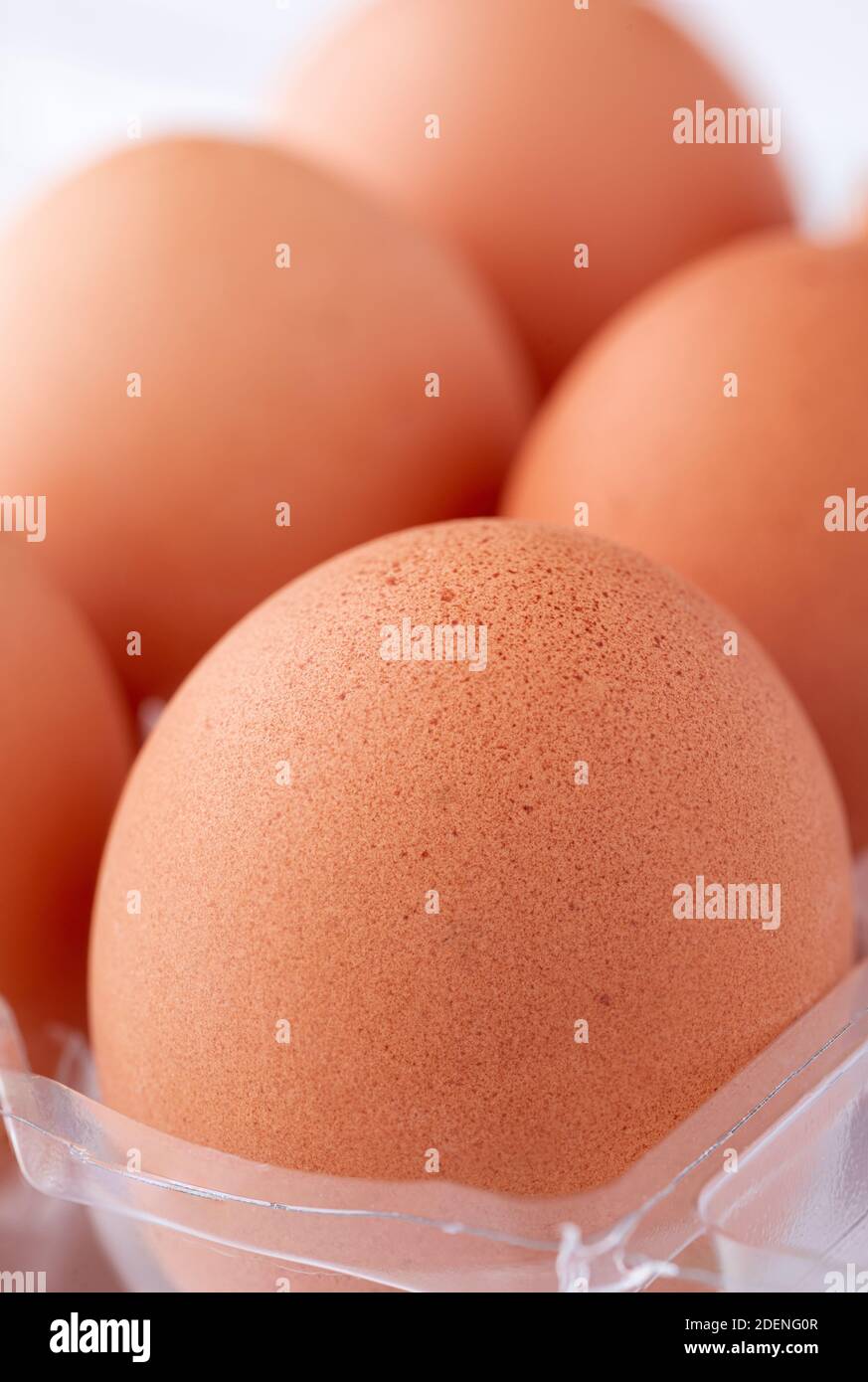 Extra large egg Stock Photo - Alamy