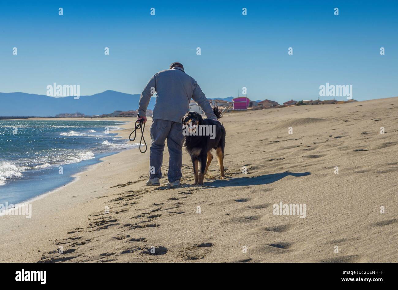 Friendship concept, man and his dog walking on beach. Stock Photo