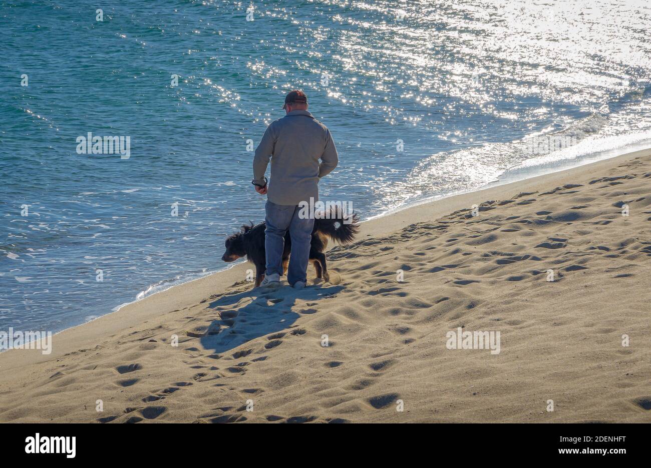 Friendship concept, man and his dog walking on beach. Stock Photo