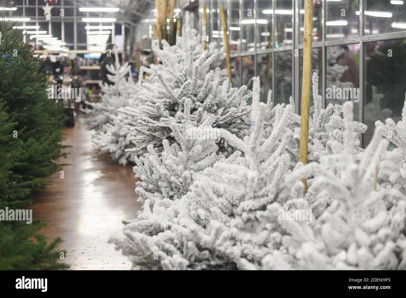 Christmas artificial trees for sale on a shop Stock Photo Alamy
