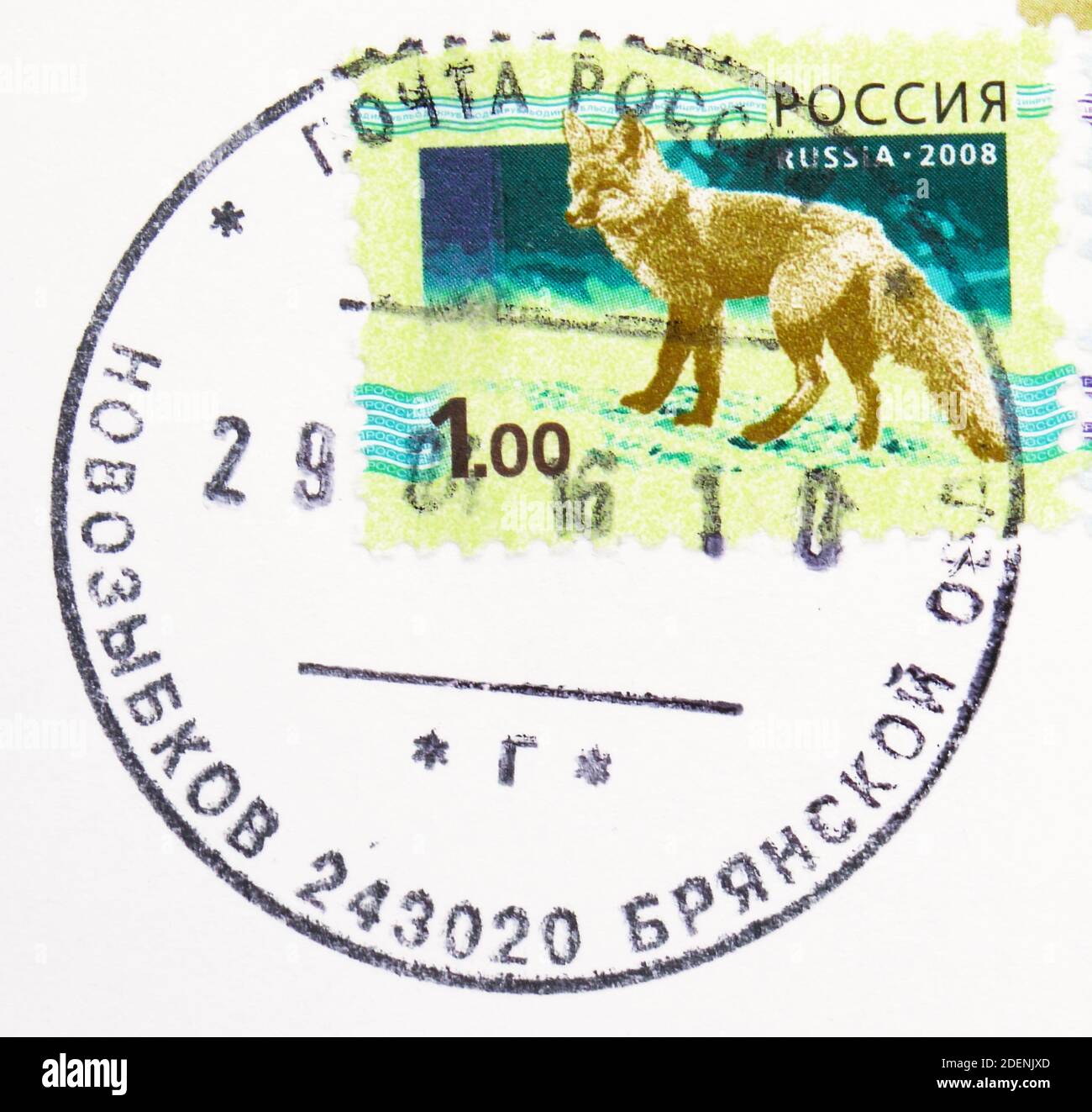 MOSCOW, RUSSIA - MAY 5, 2020: Postage stamp printed in Russia with stamp of Novozybkov city shows Fox, serie, circa 2008 Stock Photo