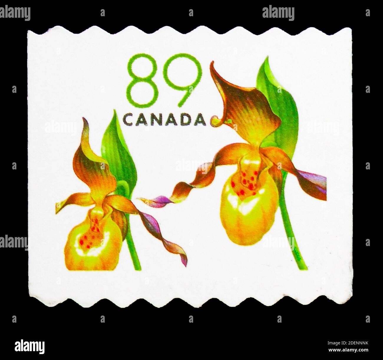 MOSCOW, RUSSIA - JUNE 28, 2020: Postage stamp printed in Canada shows Cypripedium calceolus - Lady's-slipper Orchid, Flower Definitives (1st series) s Stock Photo