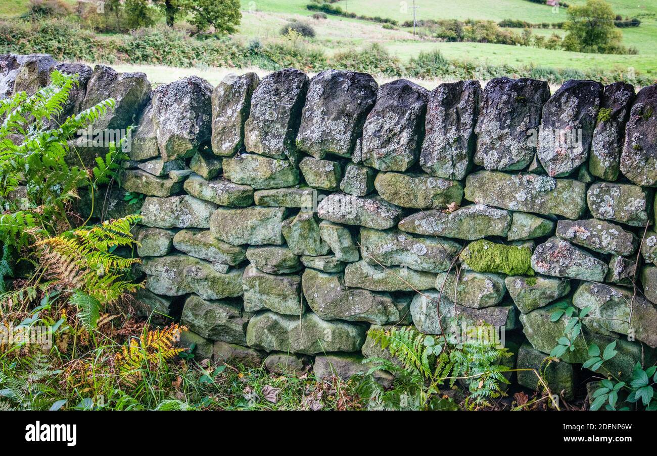 Stone Wall in the Esk Valley, North Yorkshire Moors, England. Stock Photo
