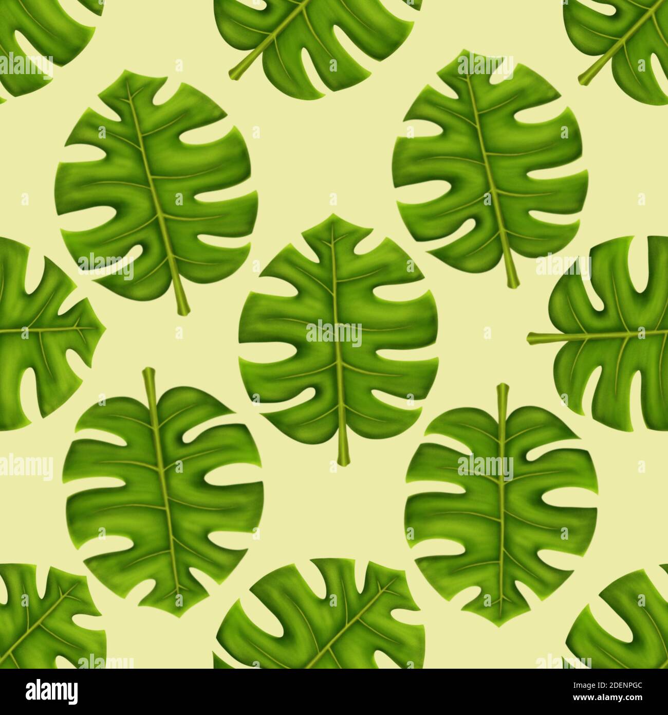 Swiss cheese plant leaf hires stock photography and images Alamy