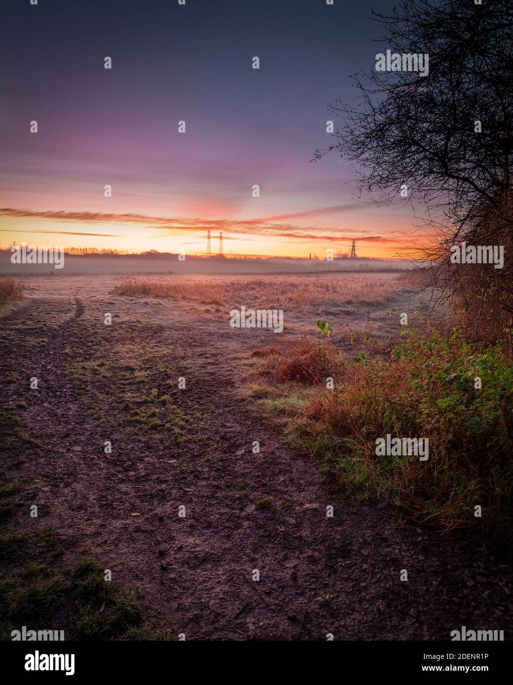 Morning frosty grass on foreground in the morning sunrise autumnal landscape Stock Photo