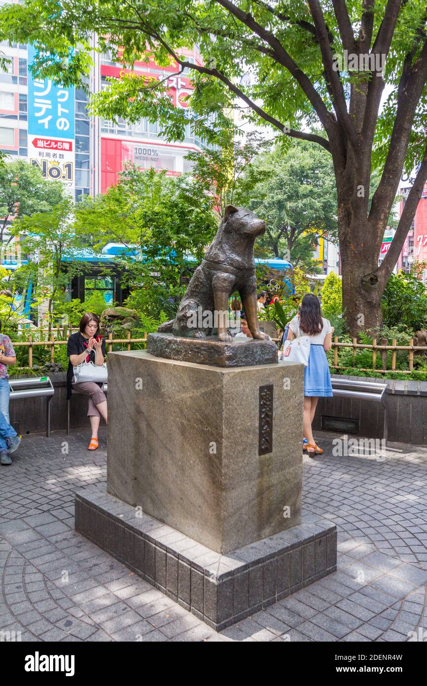 Hachiko dog hires stock photography and images Alamy
