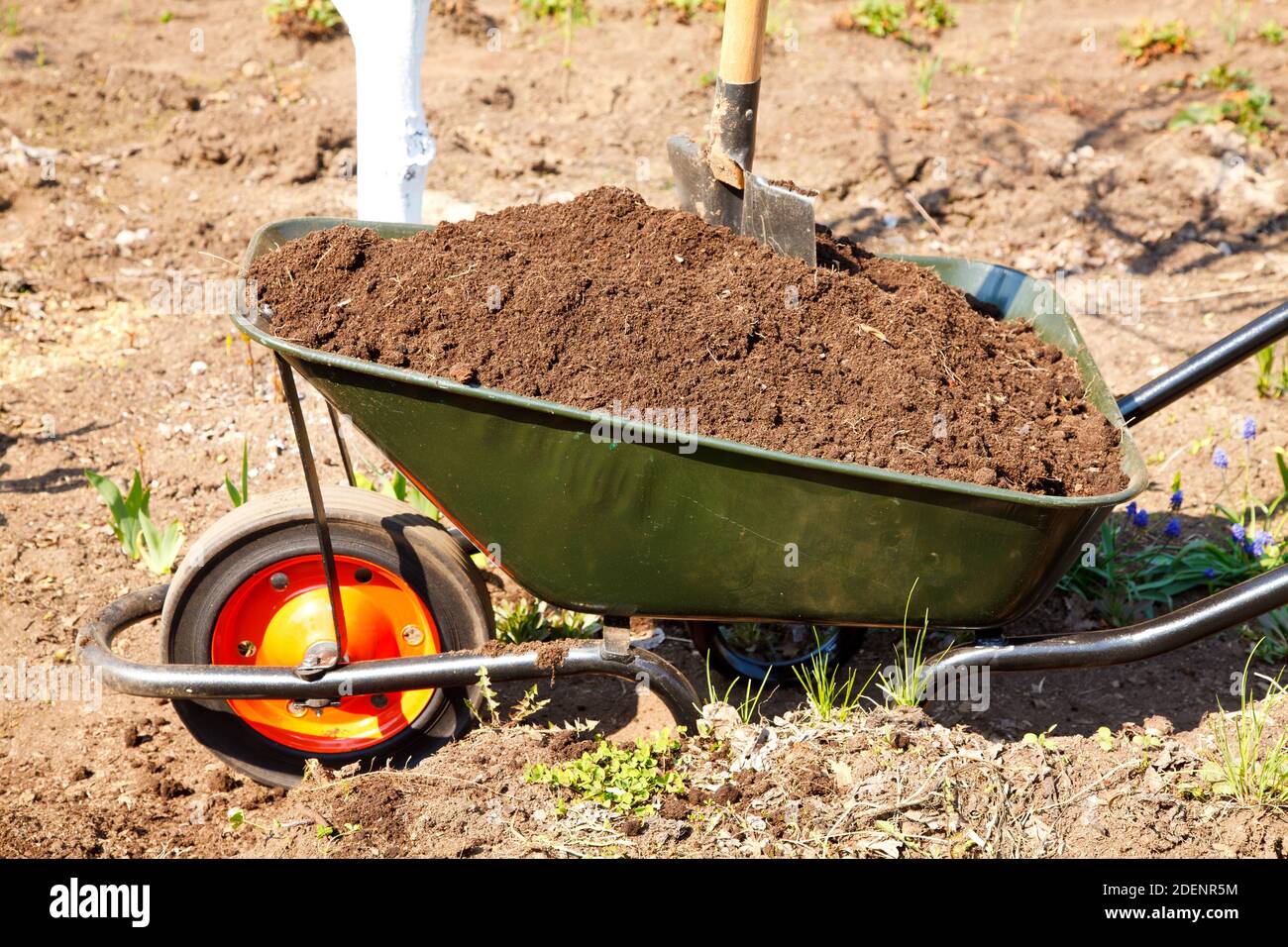 Wheelbarrow full of soil in a garden Stock Photo Alamy