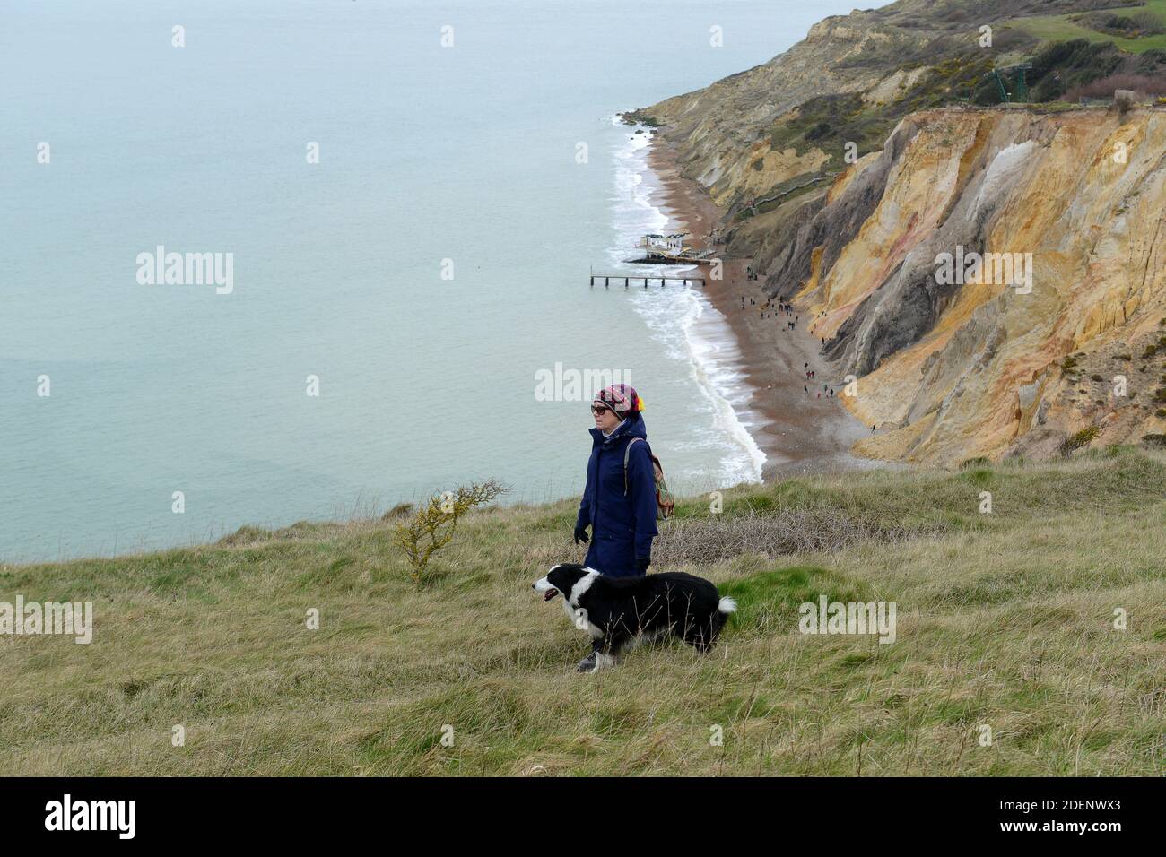woman walking dog on Isle of Wight coastal coast path walk walks Stock