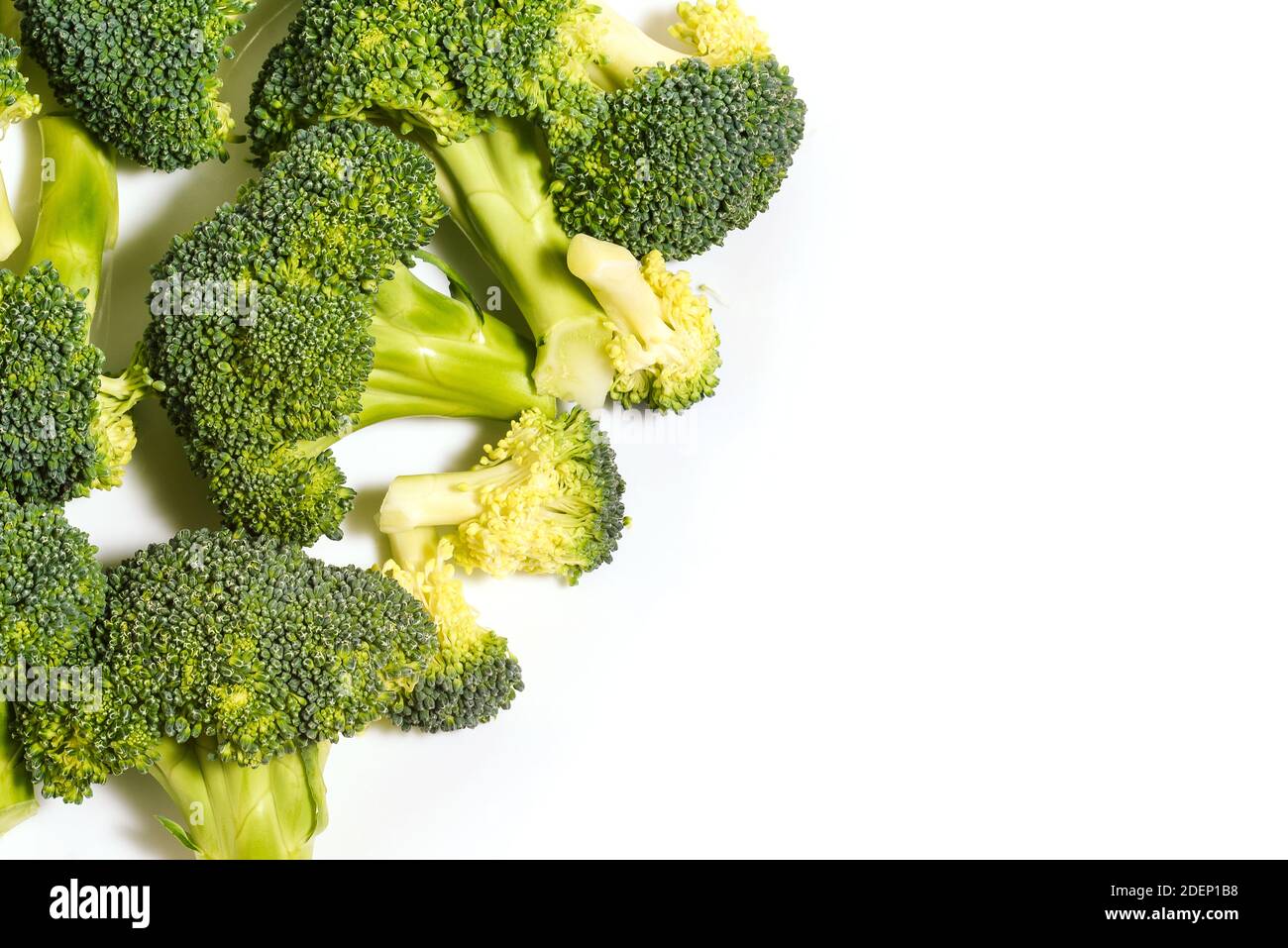 Broccoli isolated on white with copy space. Nutrition, diet and weight