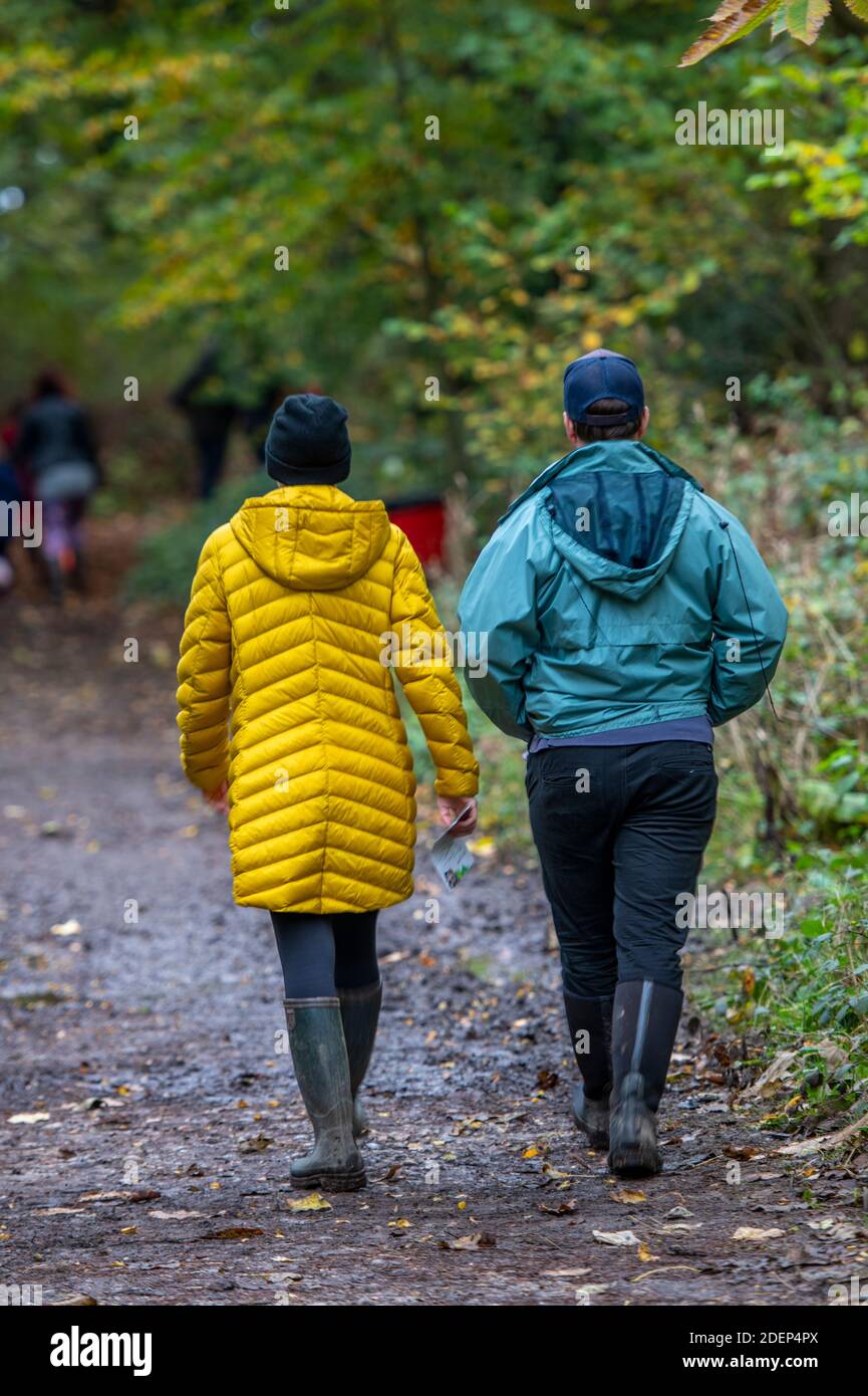 Woodland walk with wifr hires stock photography and images Alamy