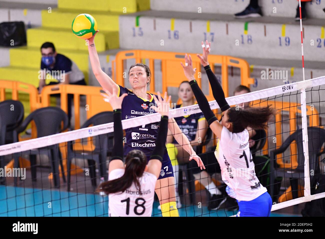 Scandicci, Florence, Italy. 1st Dec, 2020. scandicci, florence, Italy, Palazzetto dello Sport, 01 Dec 2020, Jelena Blagojevic (Developres SkyRes Rzeszow) during SSC Palmberg Schwerin vs Developres SkyRes Rzeszow - CEV Champions League Women volleyball match Credit: Lisa Guglielmi/LPS/ZUMA Wire/Alamy Live News Stock Photo