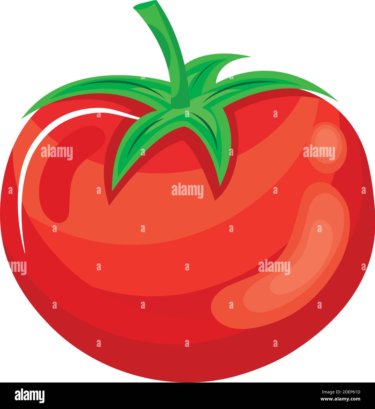fresh tomato vegetable healthy food Stock Vector Image & Art - Alamy