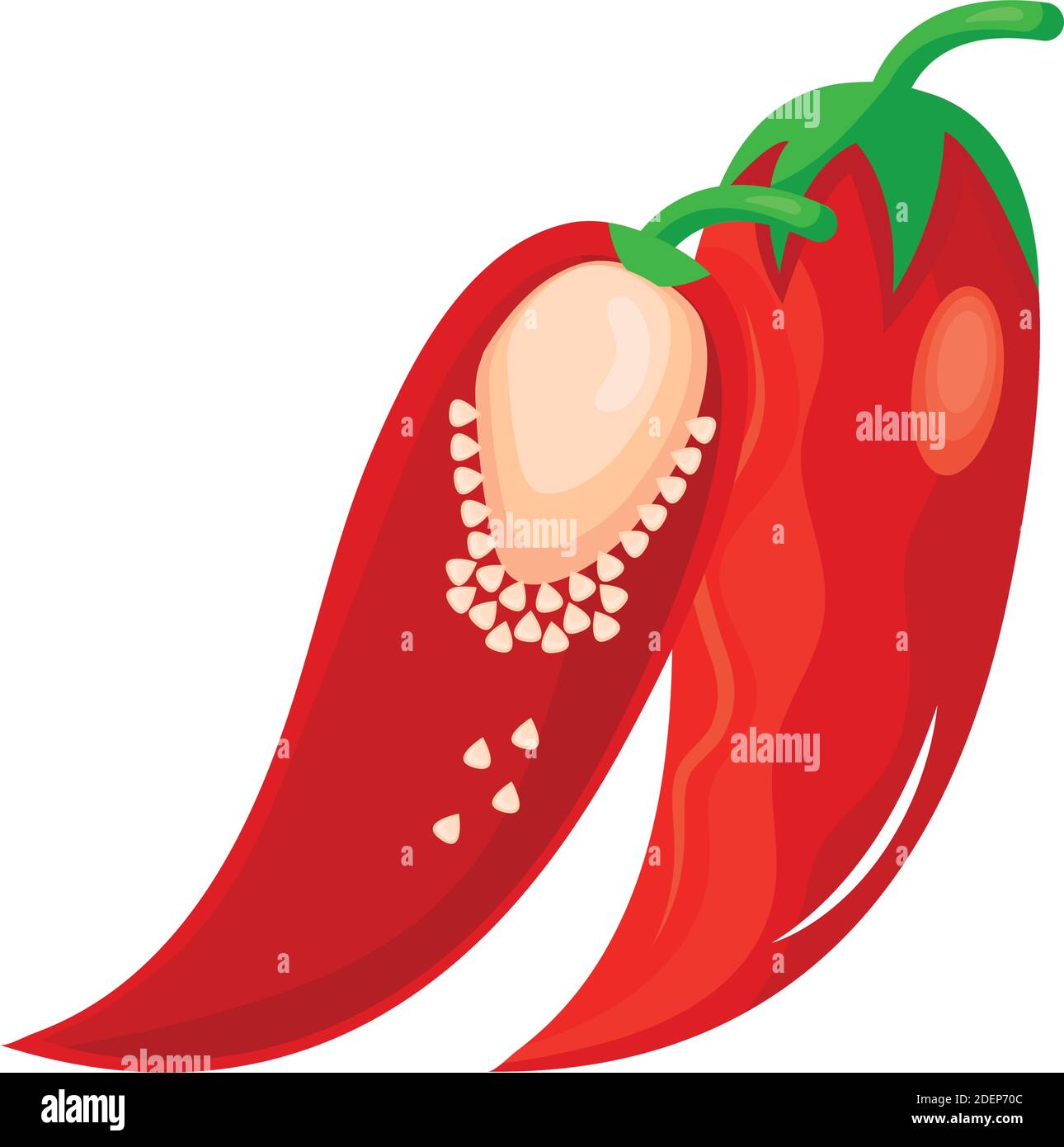 fresh chili pepper vegetable healthy food icon Stock Vector Image & Art ...