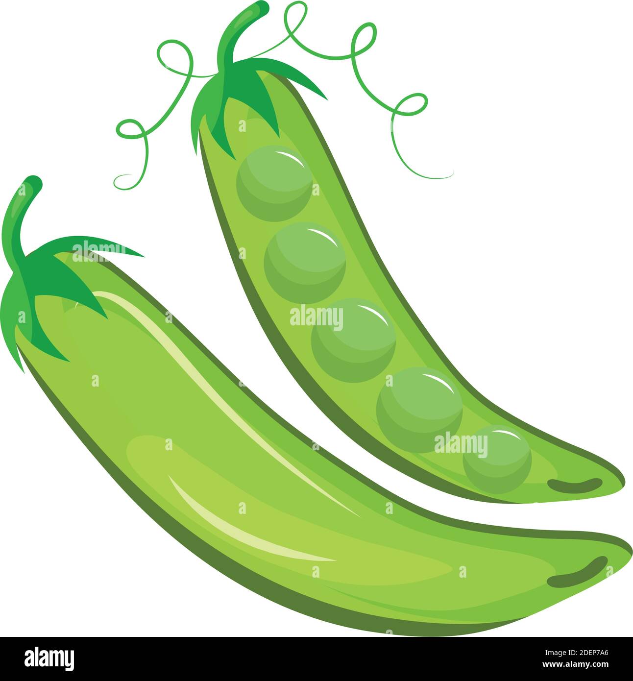 fresh beans vegetables healthy food icon Stock Vector Image & Art - Alamy
