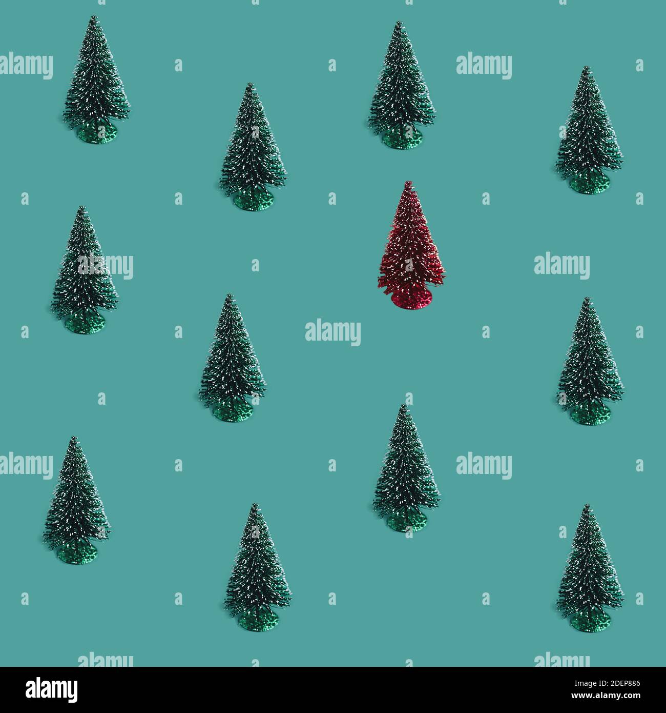 Christmas pine trees pattern on the green background with a red accent Stock Photo
