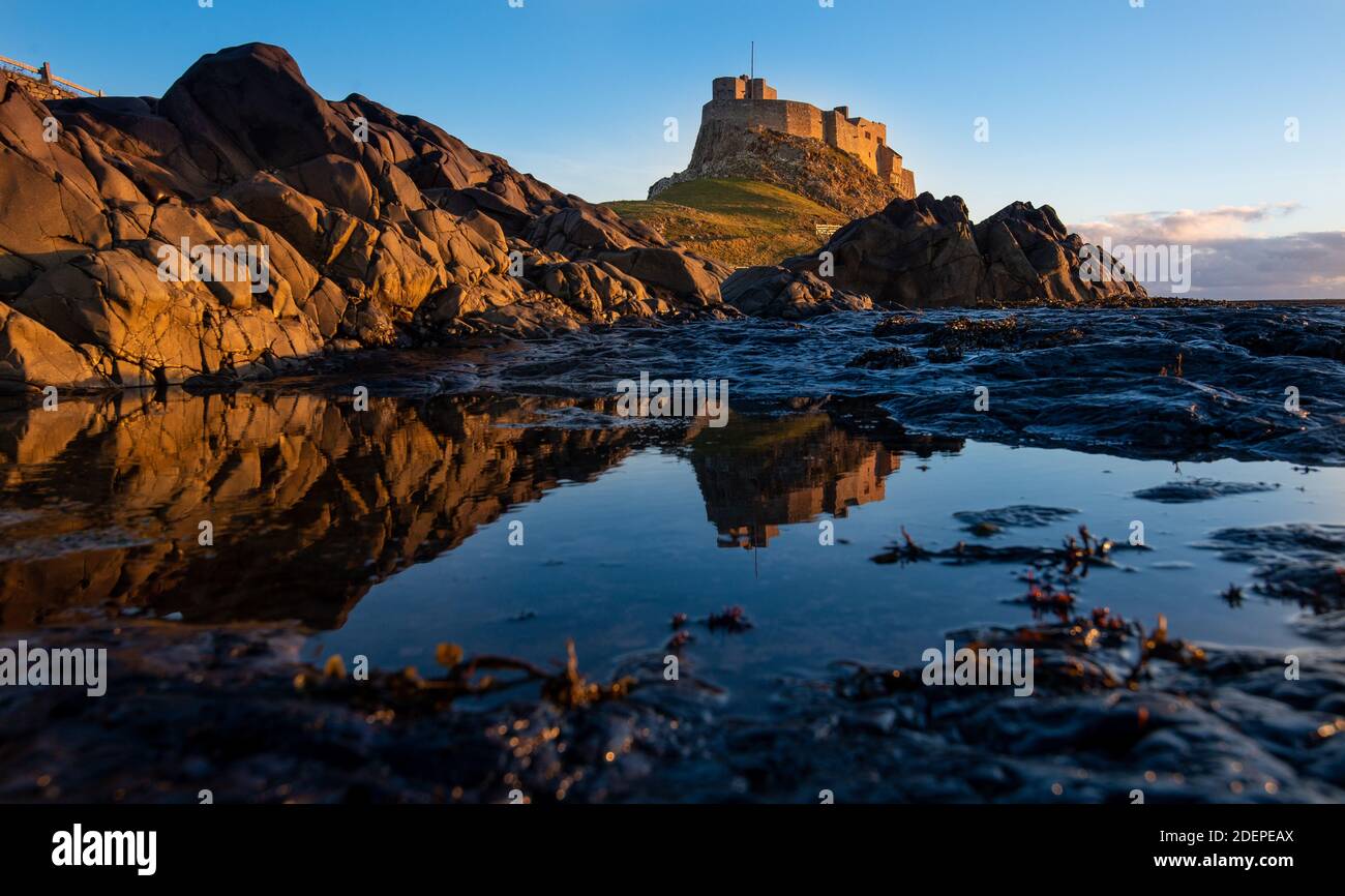Lindisfarne Castle built by King Henry VIII to guard the Fleet anchorage in the Harbour of Holy Island. The Castle is built on a volcanic outcrop Stock Photo