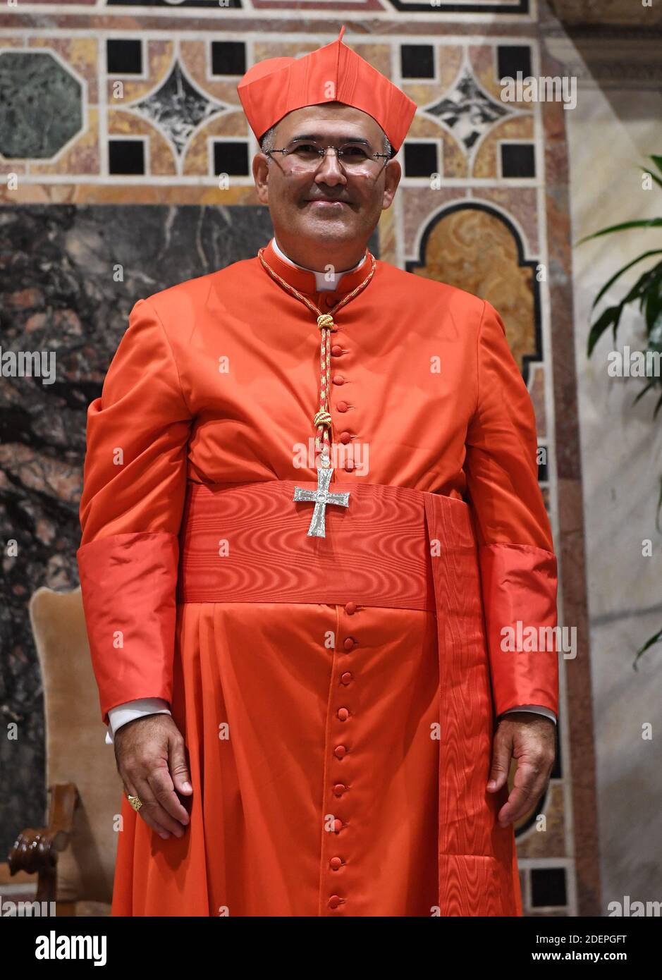 New cardinal Jose Tolentino Calaca de Mendonca (Portugal) poses as he ...