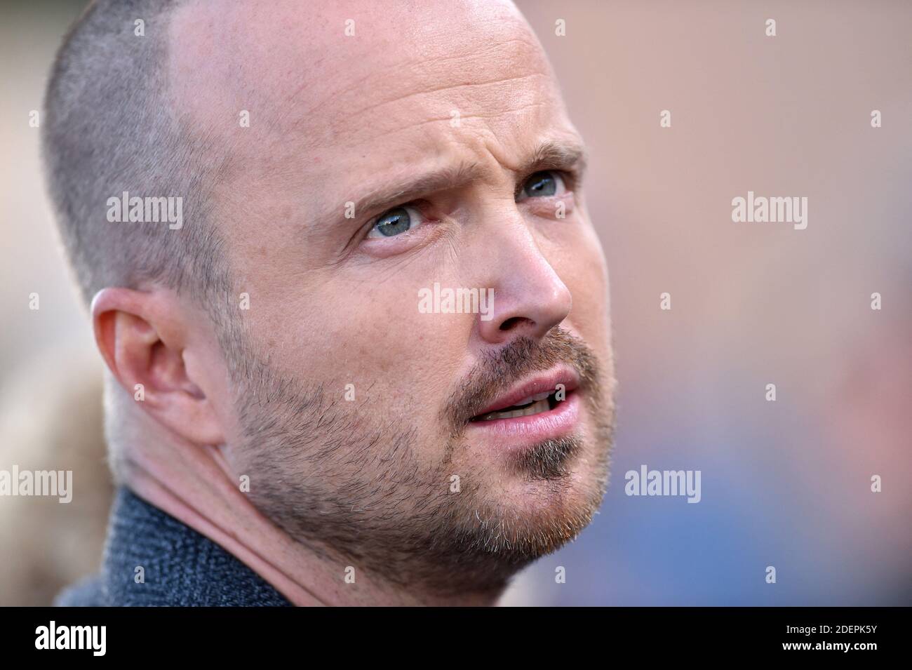 Aaron Paul attends the Premiere of Netflix's 'El Camino: A Breaking Bad ...