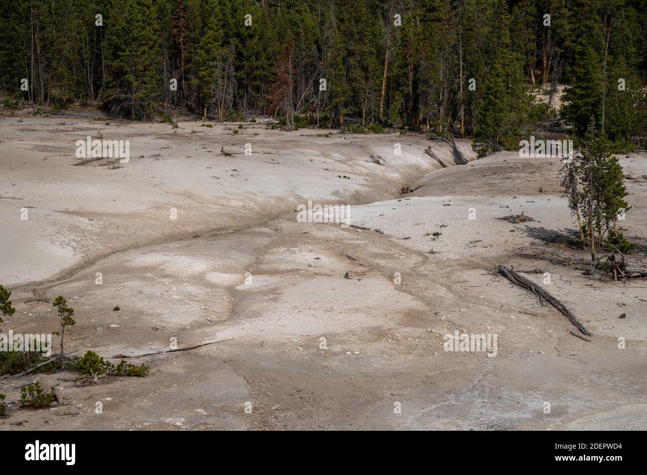 Mud Volcano and Sulfur cauldron are mud pots and fumaroles, in