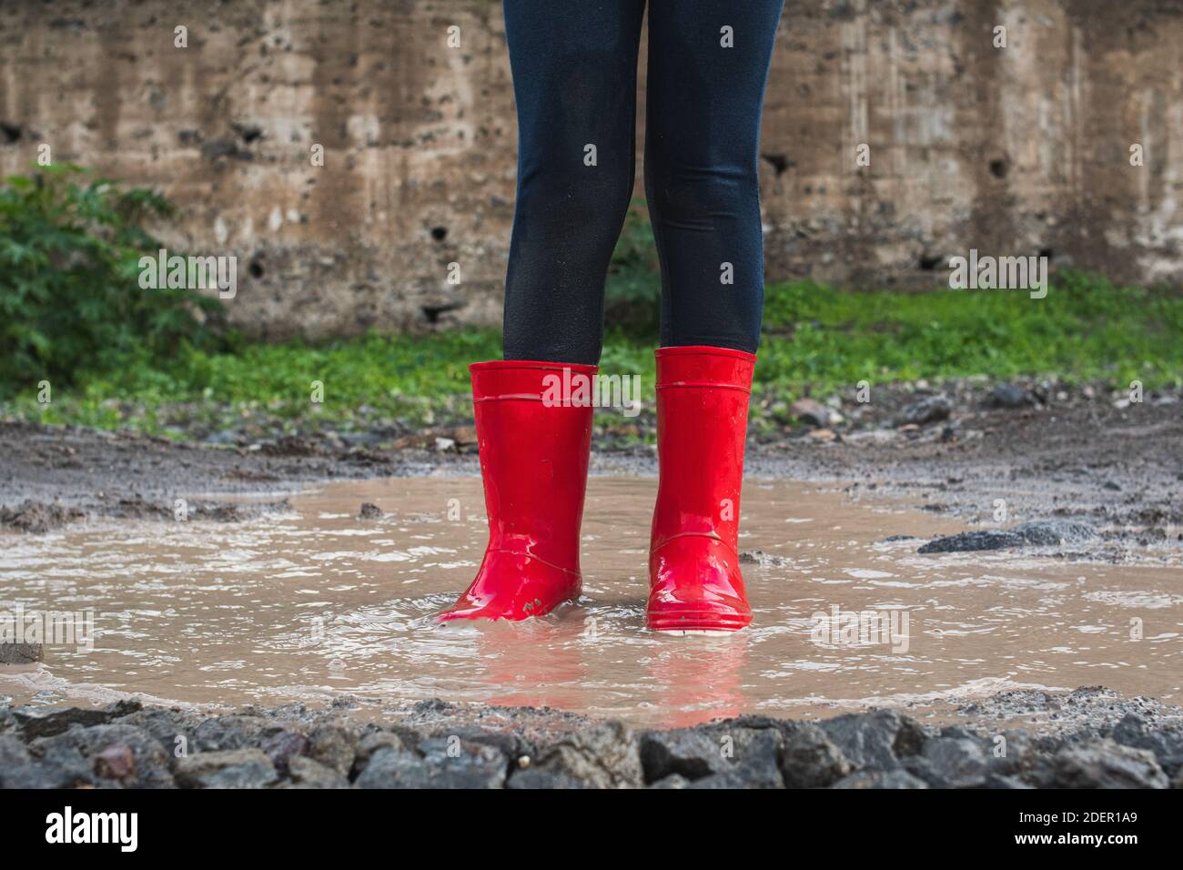 Legs of a girl jumping in a mud puddle, wearing red wellies, splashing ...