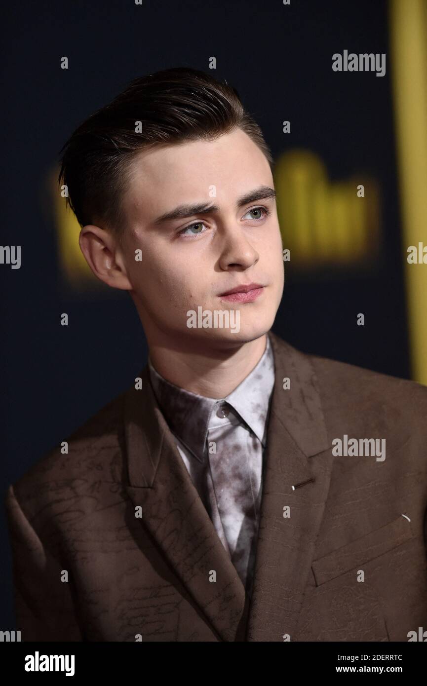 Jaeden Martell attends the premiere of "Knives Out" at Regency Village