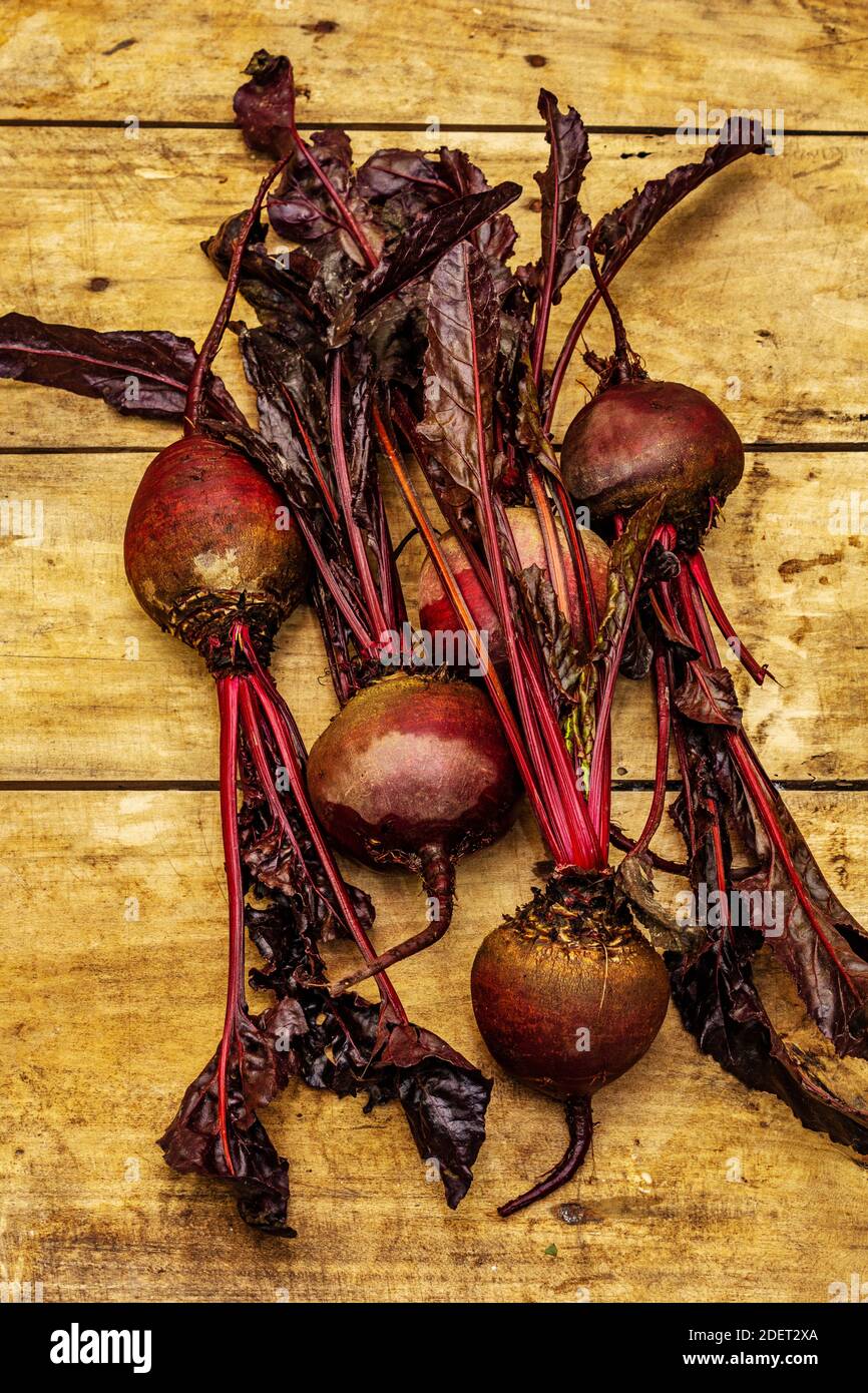 Table Beetroot Fresh homegrown beetroot with leaves on vintage wooden boards table ...
